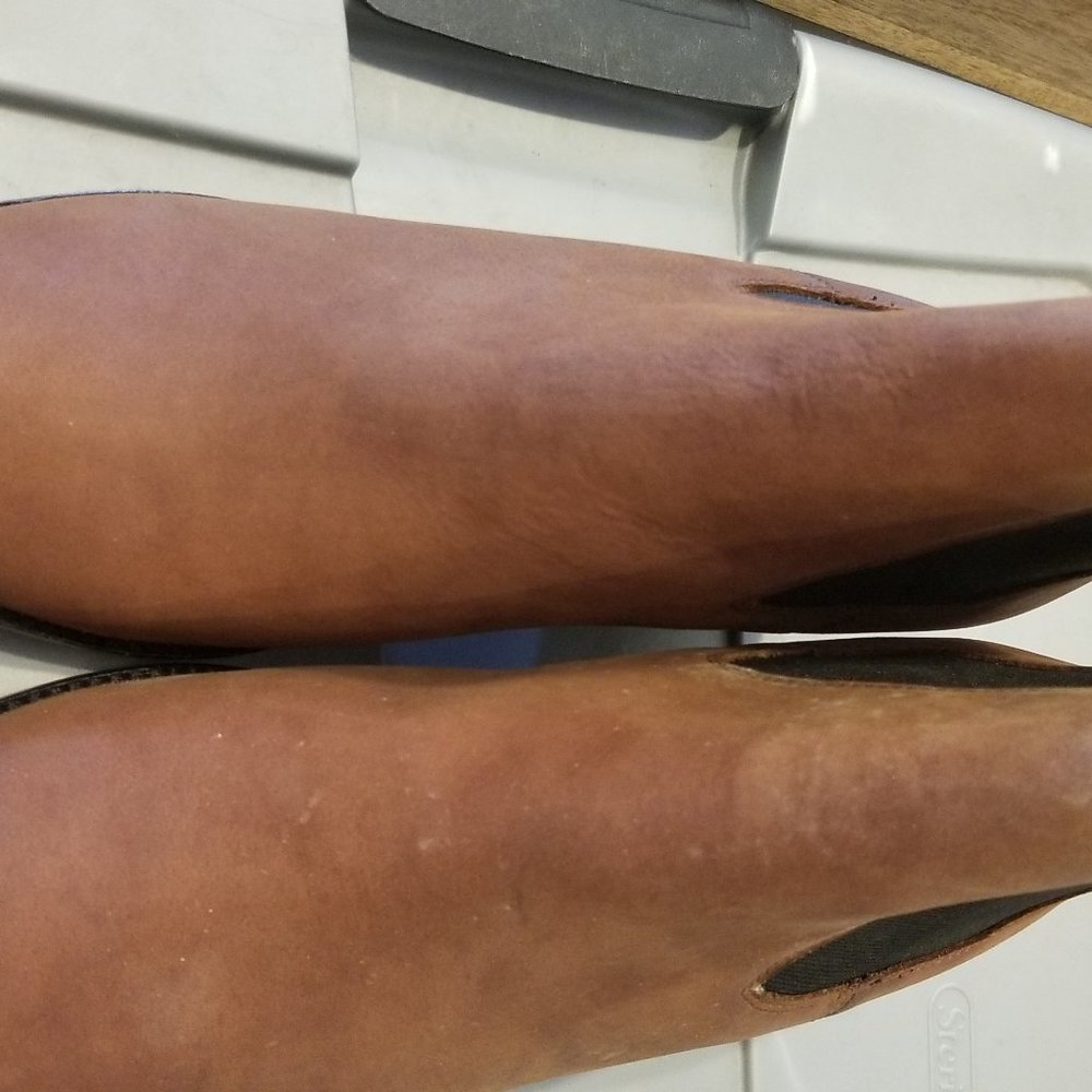 Matt Bernson - image 4